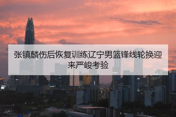 张镇麟伤后恢复训练辽宁男篮锋线轮换迎来严峻考验